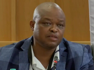 brown mogotsi biography